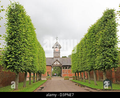 Die pleached Lindenallee und Uhrturm am Arley Hall Cheshire England UK Stockfoto