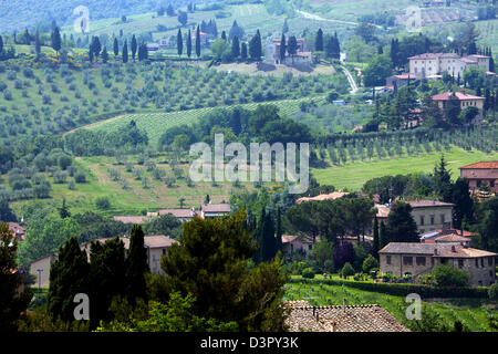 Ländliches Motiv von Weinbergen und sanften toskanischen Hügeln in der Nähe von San Gimignano in Italien Stockfoto