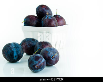 Frische Pflaumen in weißen Korb auf weißem Hintergrund. Stockfoto