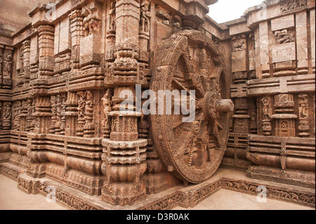 Carving-Details eines Tempels, Sonnentempel von Konark, Puri, Orissa, Indien Stockfoto