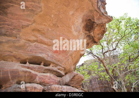 Höhlenmalereien Sie zeigen einen Mann angegriffen durch ein Bison, Bhimbetka Abris, einfache Bezirk, Madhya Pradesh, Indien Stockfoto