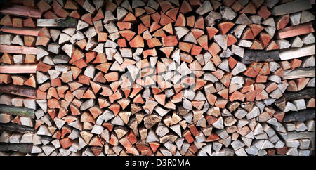 Einen schönen Vorrat an gestapeltes Brennholz Shrewsbury Shropshire England UK Stockfoto