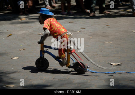 Tierische Komödie bekannt als Affenmaske in Jombang, Ost-Java. Stockfoto