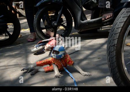 Tierische Komödie bekannt als Affenmaske in Jombang, Ost-Java. Stockfoto