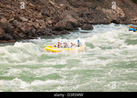 Touristen genießen Wildwasser-rafting im Fluss Ganges, Rishikesh, Dehradun Bezirk, Uttarakhand, Indien Stockfoto