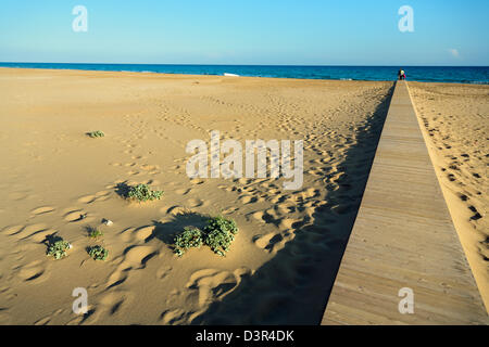 Dipkarpaz, türkischen Republik Nordzypern, Golden Beach auf der Karpaz Halbinsel Stockfoto