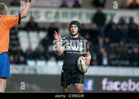 Swansea, Großbritannien. 22. Februar 2013. RaboDirect Pro 12 - Fischadler V Edinburgh im Liberty Stadium in Swansea: Fischadler Matthew Morgan. Bildnachweis: Phil Rees / Alamy Live News Stockfoto