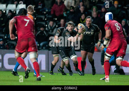 Swansea, Großbritannien. 22. Februar 2013. RaboDirect Pro 12 - Fischadler V Edinburgh im Liberty Stadium in Swansea: Fischadler Morgan Allen Credit: Phil Rees / Alamy Live News Stockfoto