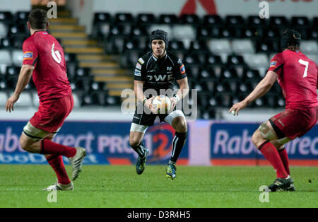 Swansea, Großbritannien. 22. Februar 2013. RaboDirect Pro 12 - Fischadler V Edinburgh im Liberty Stadium in Swansea: Fischadler Matthew Morgan. Bildnachweis: Phil Rees / Alamy Live News Stockfoto