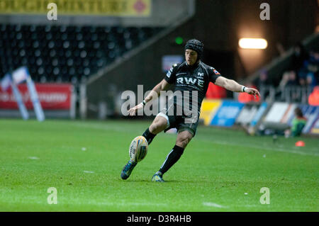 Swansea, Großbritannien. 22. Februar 2013. RaboDirect Pro 12 - Fischadler V Edinburgh im Liberty Stadium in Swansea: Fischadler Matthew Morgan. Bildnachweis: Phil Rees / Alamy Live News Stockfoto