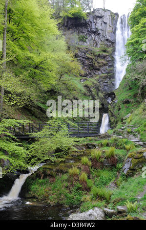 Pistyll Rhaeadr Wasserfall Nr Llanrhaeadr Ym Mochnant Powys Wales Cymru UK GB Stockfoto