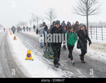 Herrington Country Park, Sunderland, Großbritannien. 23. Februar 2013. Schnee als Konkurrenten Nationale Querfeldein Meisterschaften 2013 ankommen. Quelle: Washington Imaging/Alamy leben Nachrichten Stockfoto