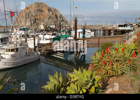Die kalifornische Küste Stadt Morro Bay mit Morro Rock im Hintergrund und Angelboote/Fischerboote im Hafen Stockfoto