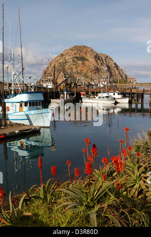 Die kalifornische Küste Stadt Morro Bay mit Morro Rock im Hintergrund und Angelboote/Fischerboote im Hafen Stockfoto