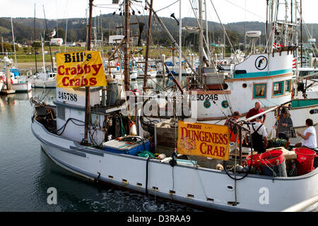 Krabben Sie-Fischer verkaufen frische Krabben aus ihren Booten auf dem Dock auf Pillar Point, Half Moon Bay, Kalifornien USA Stockfoto