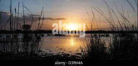 Die Serengeti Sonne über einem See im Busch von Tansania. Stockfoto