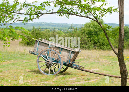 Alten Holzkarren in einem Feld Stockfoto