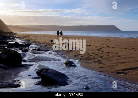 Hund winter Wanderer am Penbryn Beach, West Wales Ceredigion. Stockfoto