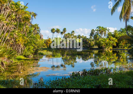 Fairchild Tropical Botanic Garden in Coral Gables in der Gegend von Miami Florida und Umgebung: Stockfoto