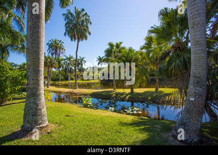 Fairchild Tropical Botanic Garden in Coral Gables in der Gegend von Miami Florida und Umgebung: Stockfoto