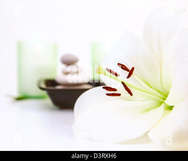 Foto der weißen Lilie Blume, Kieselsteine, Stillleben Spa, Dayspa, Luxus-Beauty-Salon, Hygieneartikel Stockfoto