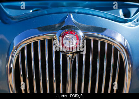 Jaguar Oldtimer. Canberra, Australian Capital Territory (ACT), Australien Stockfoto