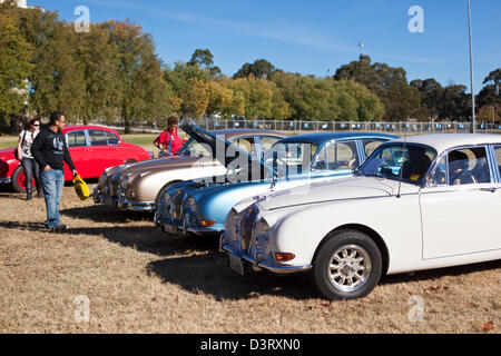 Oldtimer Jaguar-Auto-Rallye in Parkes. Canberra, Australian Capital Territory (ACT), Australien Stockfoto