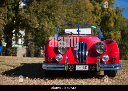 Oldtimer Jaguar-Auto-Rallye in Parkes. Canberra, Australian Capital Territory (ACT), Australien Stockfoto