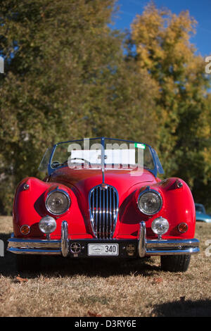 Oldtimer Jaguar-Auto-Rallye in Parkes. Canberra, Australian Capital Territory (ACT), Australien Stockfoto