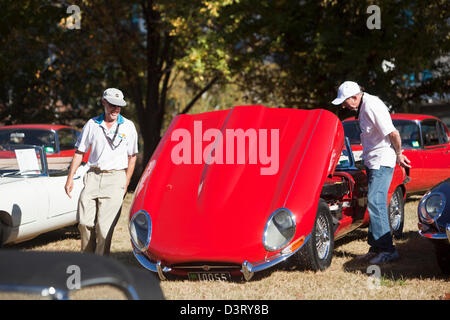 Oldtimer Jaguar-Auto-Rallye in Parkes. Canberra, Australian Capital Territory (ACT), Australien Stockfoto