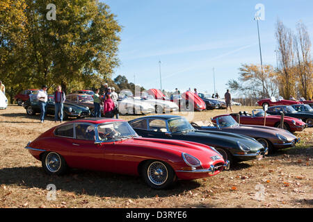 Oldtimer Jaguar-Auto-Rallye in Parkes. Canberra, Australian Capital Territory (ACT), Australien Stockfoto