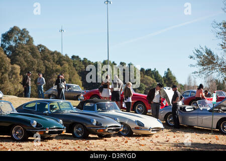 Oldtimer Jaguar-Auto-Rallye in Parkes. Canberra, Australian Capital Territory (ACT), Australien Stockfoto