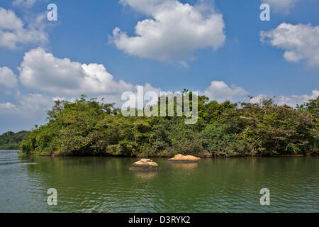 EINE INSEL IN KOGGALA LAKE SRI LANKA MIT TYPISCHEN TROPISCHEN BÄUMEN UND PFLANZEN Stockfoto