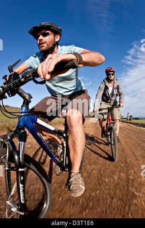 Zwei Freunde Mountainbiken im Harkville Wald, Südafrika Stockfoto