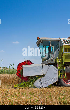 Mähdrescher, sammeln von Weizen oder Gerste aus einem ländlichen Gebiet an einem Sommertag Stockfoto