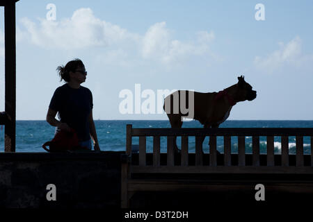 Playa de Las Americas, Spanien, Silhouette einer Frau mit einem Hund auf Teneriffa Stockfoto