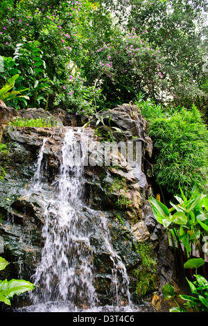 Singapur botanische Garden1 Grad n-te des Äquators hat 10.000 Arten von Pflanzen und die weltweit größte Sammlung von Orchideen Stockfoto