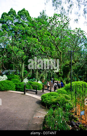 Singapur botanische Garden1 Grad n-te des Äquators hat 10.000 Arten von Pflanzen und die weltweit größte Sammlung von Orchideen Stockfoto