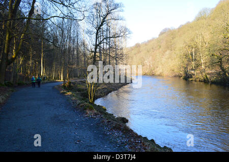 Ein paar gehen neben der Flusses Wharfe in Bolton Abbey Wäldern auf Dales Weg Langdistanz Fußweg Wharfedale Yorkshire Stockfoto