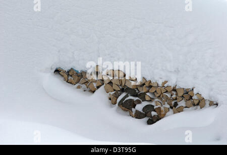 Schneiden Sie Protokolle unter einer dicken Schneedecke Stockfoto