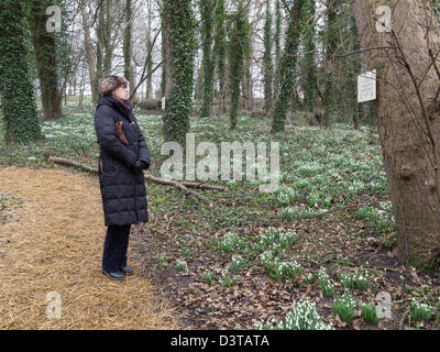 Frau auf dem jährlichen Schneeglöckchen Walk in "House Of God" ein Zuhause für ältere Menschen in 1273 Greatham Co Durham gegründet Stockfoto