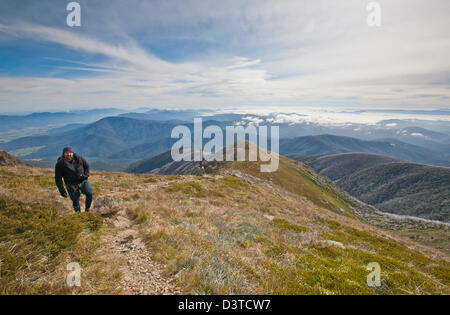 Wanderer auf Treppe Sporn Überschrift bis Mount Bogong-Gipfel. Stockfoto