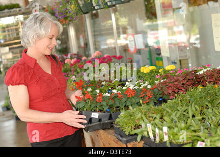 Attraktive Frau shopping für Pflanzen. Sie ist speziell bei einer Pflanze Salvia gesucht. Stockfoto