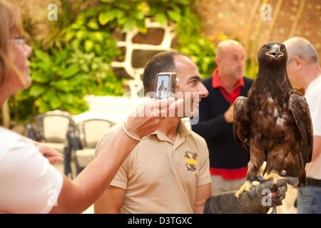 Playa de Las Americas, Spanien, Touristen fotografieren einen Steinadler in Teneriffa Stockfoto