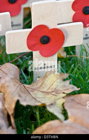 Close-up Gedenktag Waffenstillstand Mohn Gedenkstätte Kreuz Stockfoto