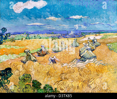 Vincent Van Gogh, Weizenfelder mit Reaper, Auvers 1890 Öl auf Leinwand. Toledo Museum of Art, Toledo, Ohio Stockfoto