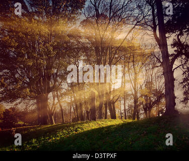 GB - GLOUCESTERSHIRE: Herbst in Cheltenham Pittville Park Stockfoto