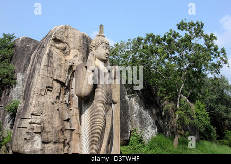Avukana stehende Buddha-Statue Stockfoto