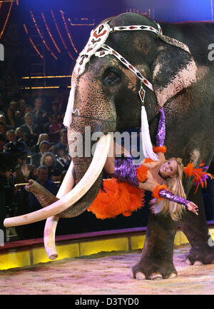 Deutsche TV-Moderatorin Sonja Kraus probt ihre Tat mit Elefanten "Colonel Joe" bei der Generalprobe des deutschen Fernsehens "Stars in der Arena" im Circus Krone in München, Deutschland, Freitag, 1. Dezember 2006 zeigen. Prominente aus Film, Show-Business und Sport führen Sie für einen guten Zweck. Die Gala wird am 26 Dezember im Fernsehen übertragen werden. Foto: Volker Dornberger Stockfoto