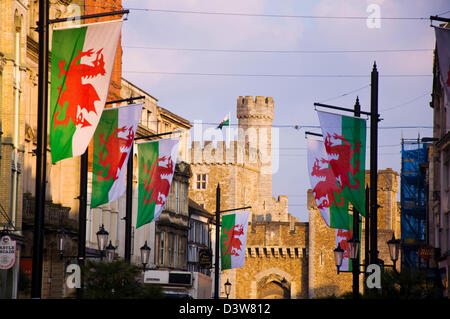 Walisische Flaggen auf St Mary Street in Cardiff mit Schloss im Hintergrund Stockfoto